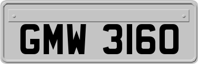 GMW3160