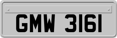 GMW3161