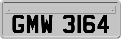 GMW3164