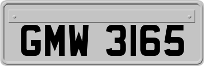 GMW3165