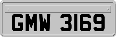GMW3169