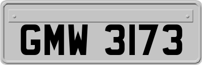 GMW3173