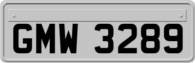 GMW3289