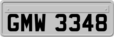 GMW3348