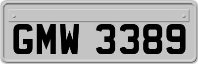 GMW3389