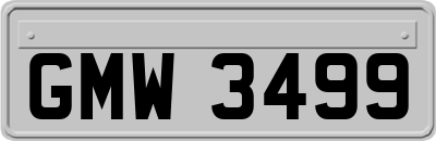 GMW3499