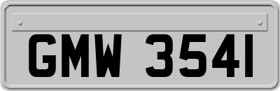GMW3541