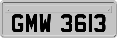 GMW3613