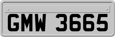 GMW3665