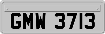 GMW3713