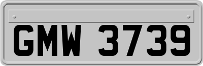 GMW3739