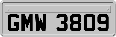 GMW3809