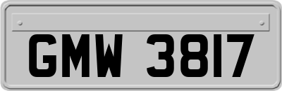 GMW3817