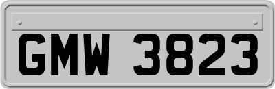 GMW3823
