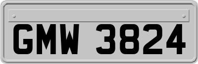 GMW3824
