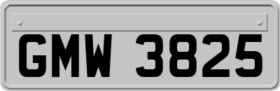GMW3825