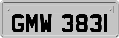 GMW3831
