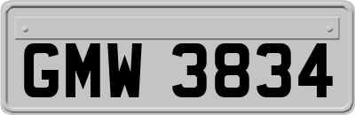 GMW3834