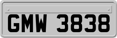 GMW3838