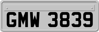 GMW3839