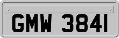 GMW3841