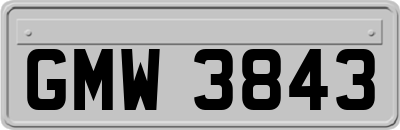 GMW3843