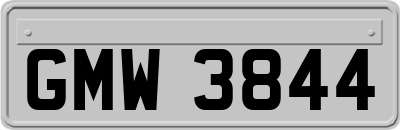 GMW3844