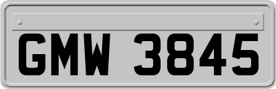 GMW3845