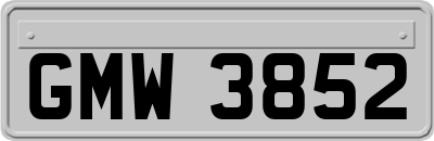 GMW3852