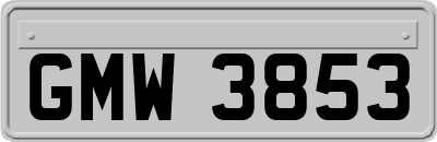 GMW3853