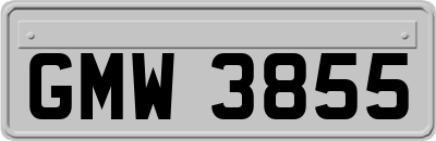 GMW3855