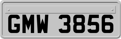 GMW3856