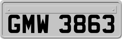 GMW3863