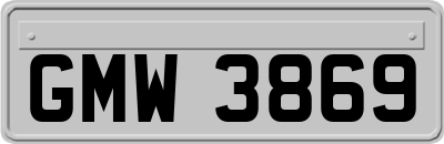 GMW3869