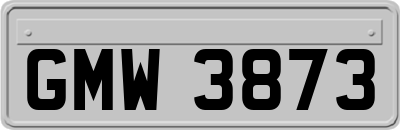 GMW3873