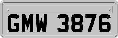 GMW3876