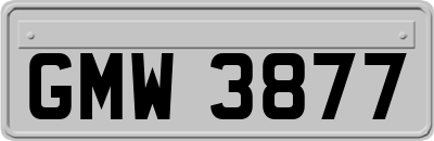 GMW3877