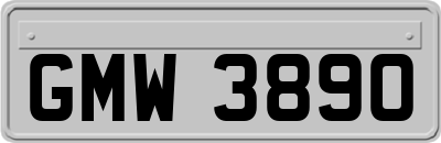 GMW3890