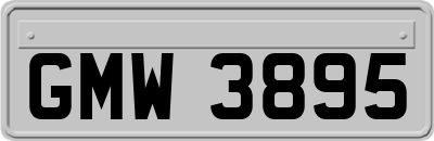 GMW3895