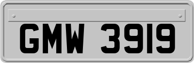 GMW3919