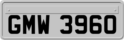 GMW3960