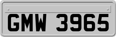 GMW3965