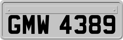 GMW4389