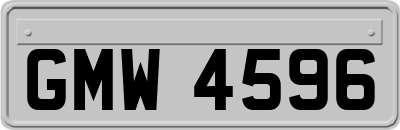 GMW4596