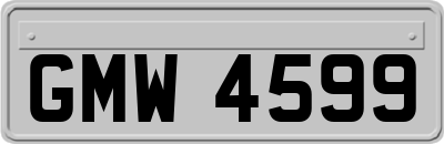 GMW4599