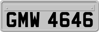 GMW4646