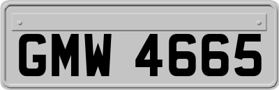 GMW4665