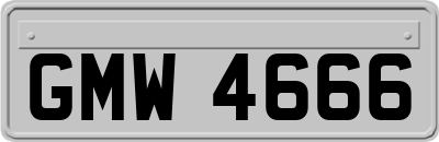 GMW4666