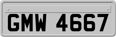 GMW4667