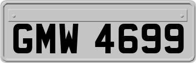 GMW4699